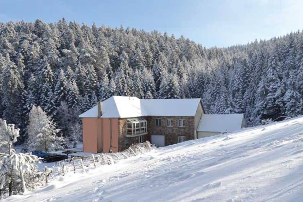 Gite Gretel De La Ferme Du Schneeberg Wangenbourg-Engenthal ภายนอก รูปภาพ