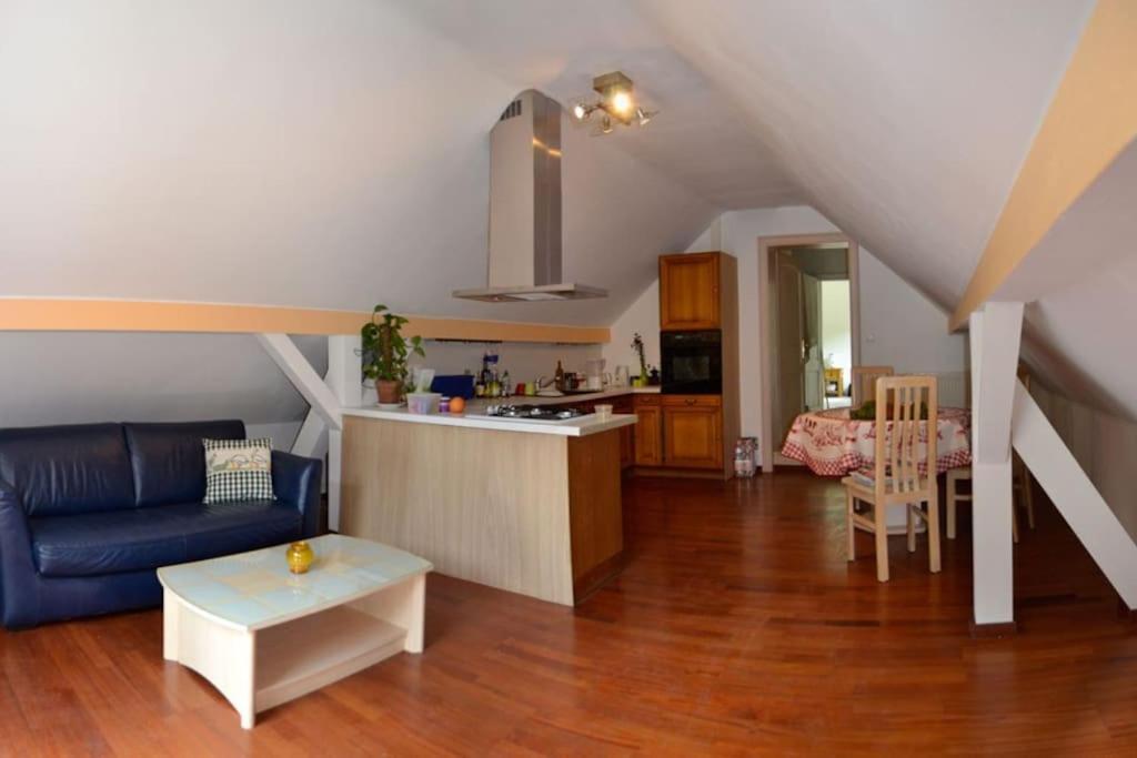 Gite Gretel De La Ferme Du Schneeberg Wangenbourg-Engenthal ภายนอก รูปภาพ