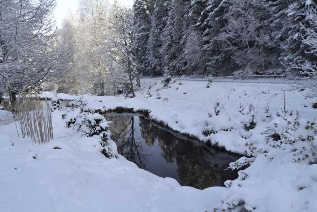 Gite Gretel De La Ferme Du Schneeberg Wangenbourg-Engenthal ภายนอก รูปภาพ