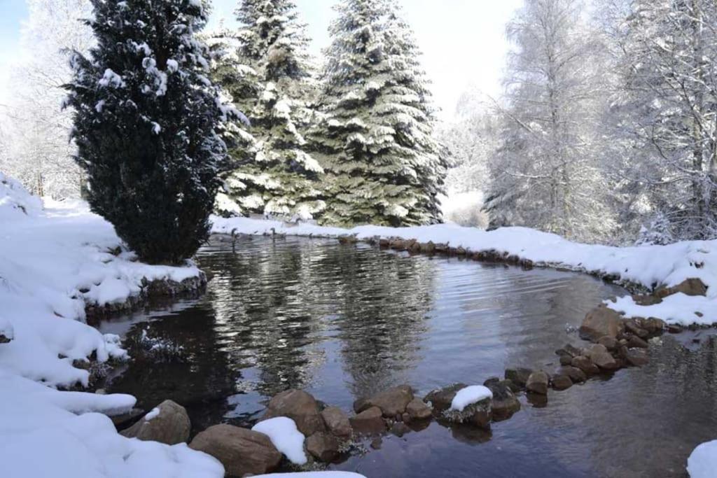 Gite Gretel De La Ferme Du Schneeberg Wangenbourg-Engenthal ภายนอก รูปภาพ