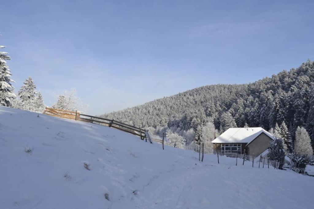 Gite Gretel De La Ferme Du Schneeberg Wangenbourg-Engenthal ภายนอก รูปภาพ